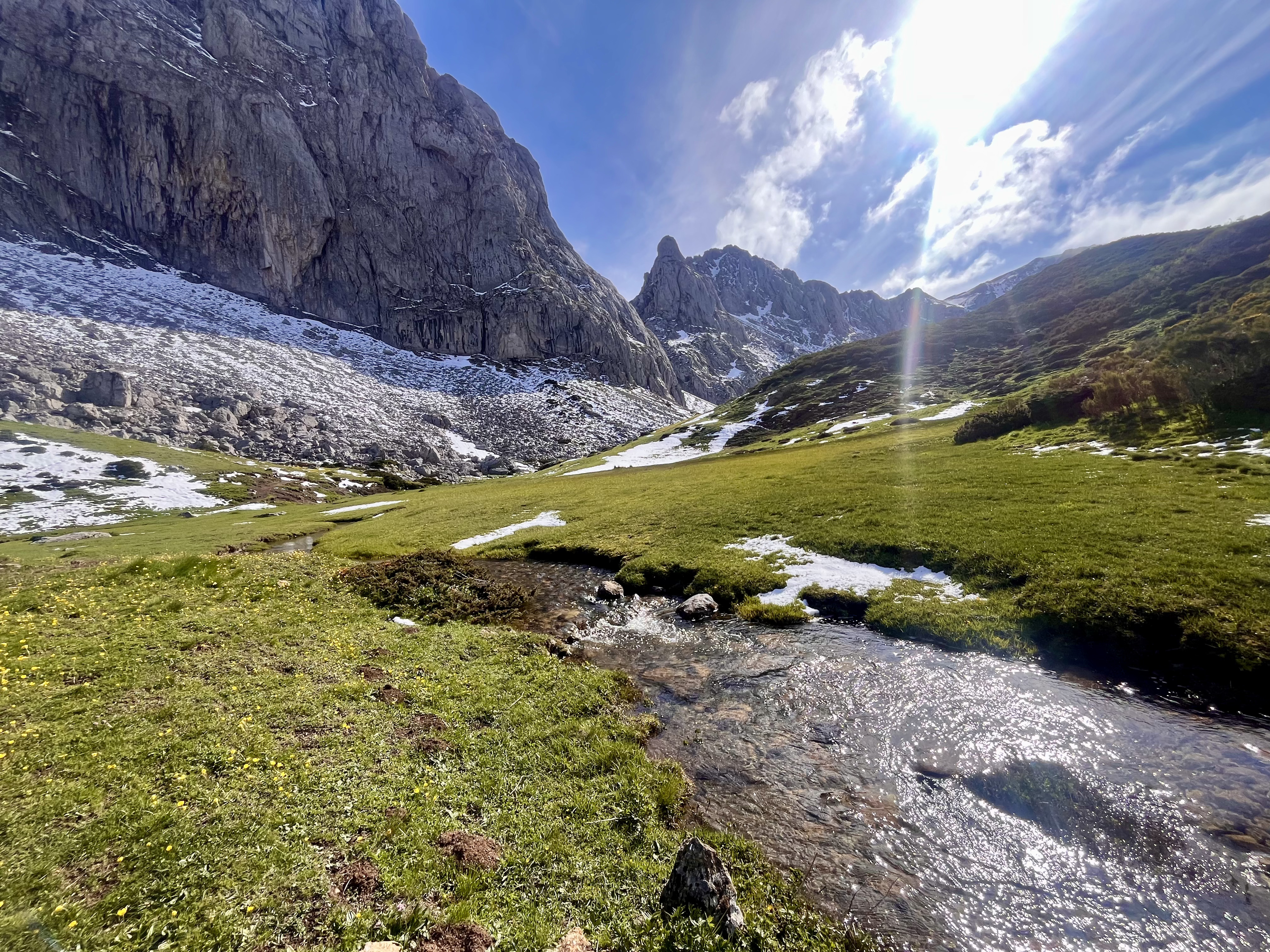 Arroyo de montaña en pradera verde de Babia